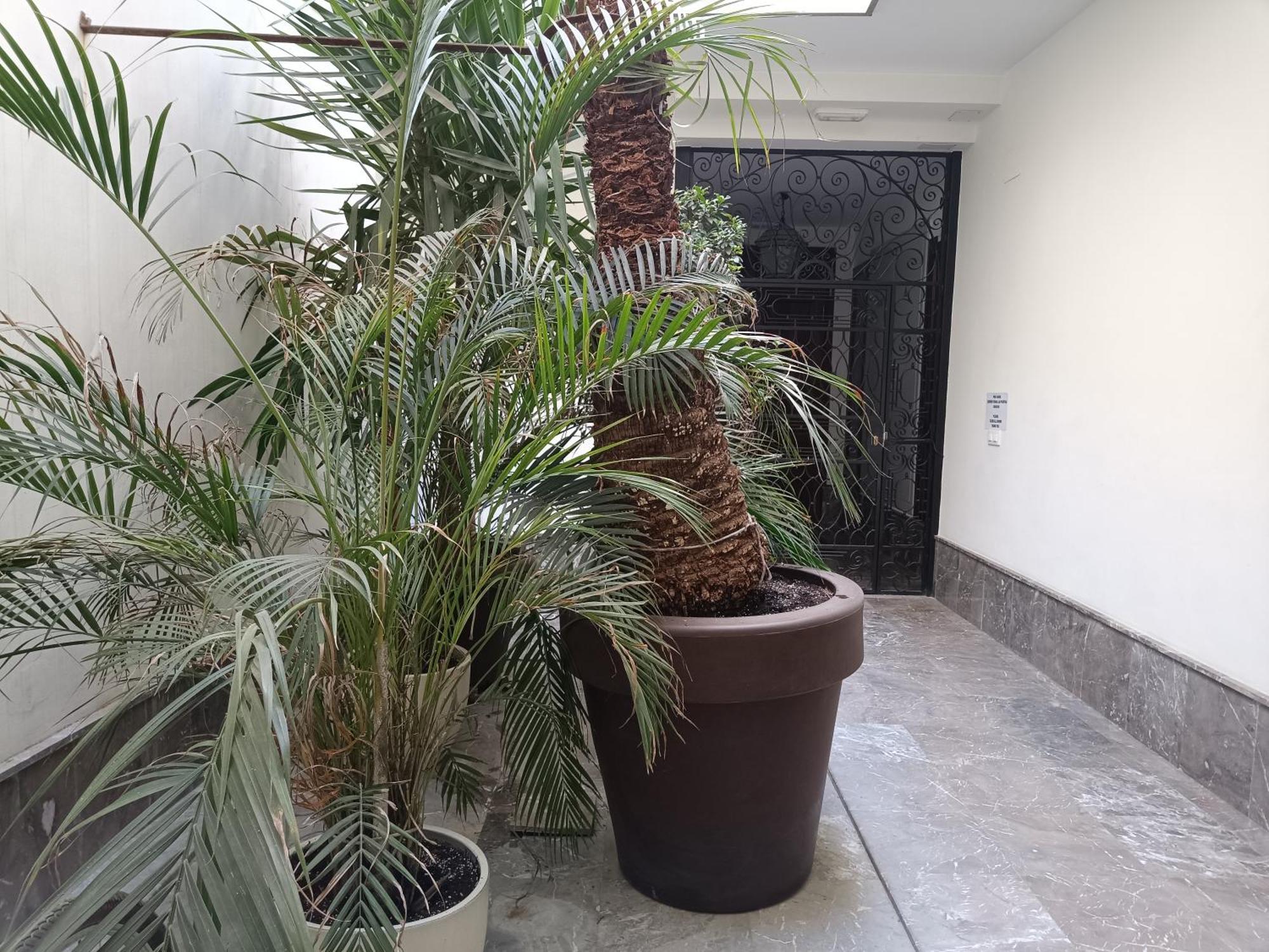 Apartamentos Luxury Puente De Triana Seville Ngoại thất bức ảnh