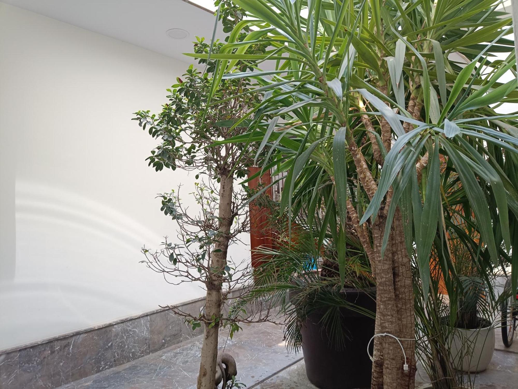 Apartamentos Luxury Puente De Triana Seville Ngoại thất bức ảnh